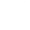 Flip Logo